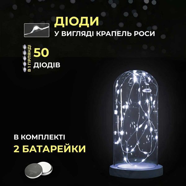 Світлодіодна гірлянда Роса 5 метрів на батарейках 50 led нитка на зеленому дроті біла 50L5MGW 50L5MGW фото