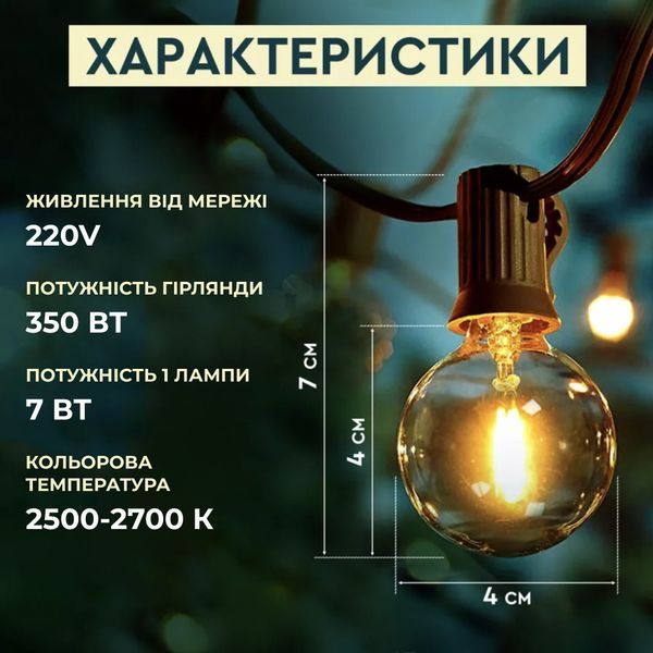 Вулична гірлянда лампочки GarlandoPro гірлянда вулична ретро світлодіодна 1733073Y G40 20LED 10m 1733073Y фото